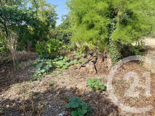 maison à louer - 3 pièces - 92.02 m2 - CEZAN - 32 - MIDI-PYRENEES - Century 21 J.V. Immobilier