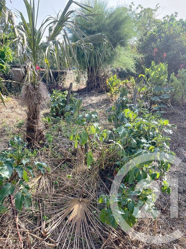 maison à louer - 3 pièces - 92.02 m2 - CEZAN - 32 - MIDI-PYRENEES - Century 21 J.V. Immobilier