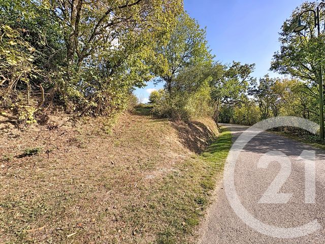 terrain à vendre - 2180.0 m2 - MONFORT - 32 - MIDI-PYRENEES - Century 21 J.V. Immobilier