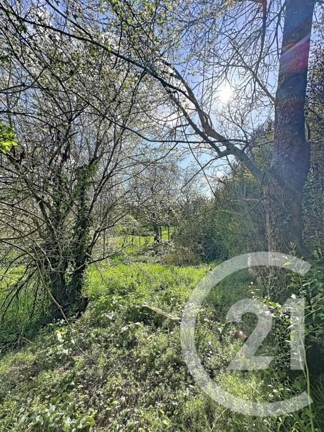 maison à vendre - 10 pièces - 245.01 m2 - MONFORT - 32 - MIDI-PYRENEES - Century 21 J.V. Immobilier