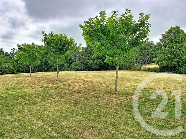 maison à louer - 3 pièces - 77.56 m2 - MARSAC - 82 - MIDI-PYRENEES - Century 21 J.V. Immobilier