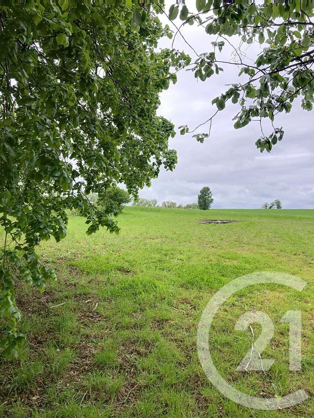 maison à louer - 4 pièces - 153.05 m2 - CASTELNAU D ARBIEU - 32 - MIDI-PYRENEES - Century 21 J.V. Immobilier