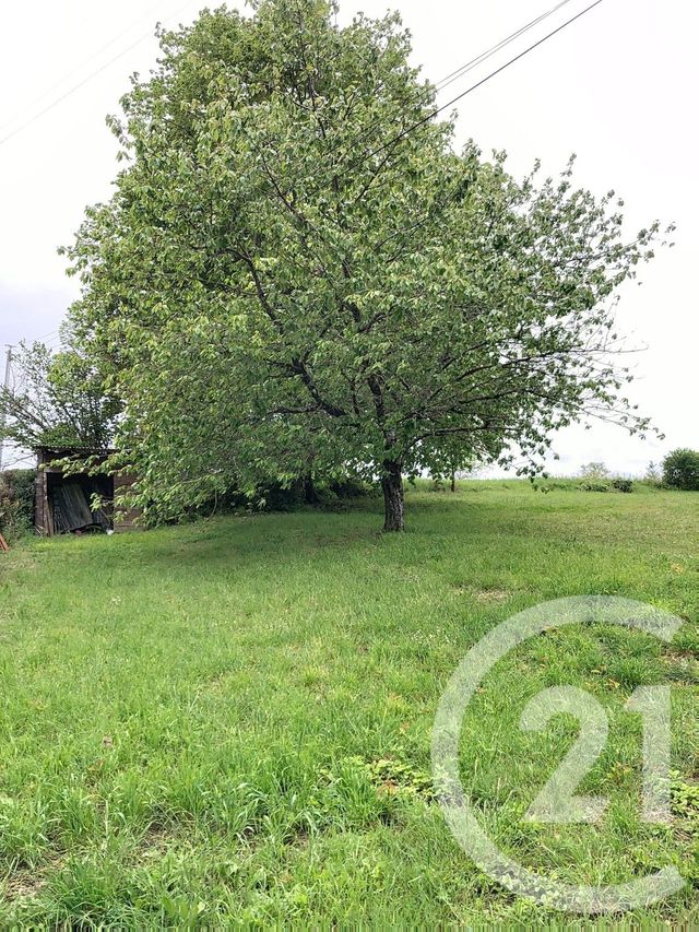 maison à louer - 4 pièces - 153.05 m2 - CASTELNAU D ARBIEU - 32 - MIDI-PYRENEES - Century 21 J.V. Immobilier