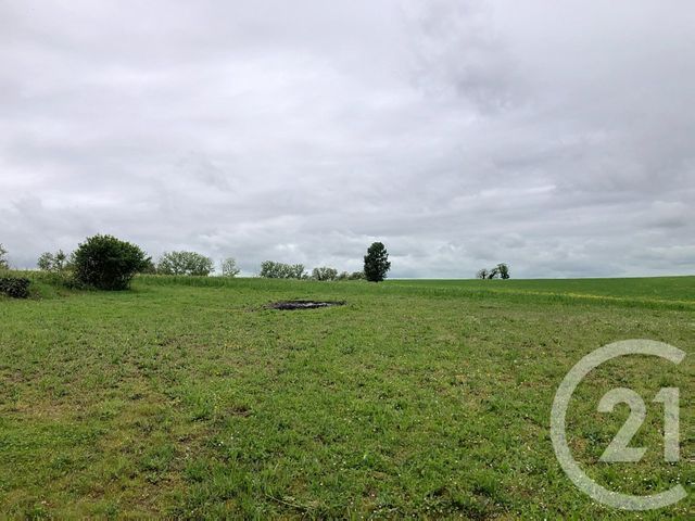 maison à louer - 4 pièces - 153.05 m2 - CASTELNAU D ARBIEU - 32 - MIDI-PYRENEES - Century 21 J.V. Immobilier