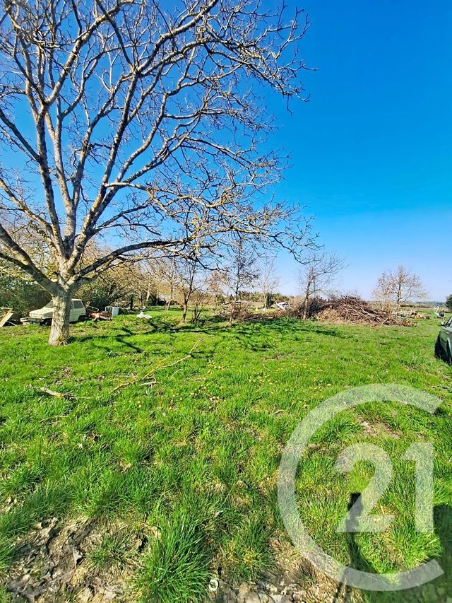 maison à vendre - 9 pièces - 235.34 m2 - CONDOM - 32 - MIDI-PYRENEES - Century 21 J.V. Immobilier